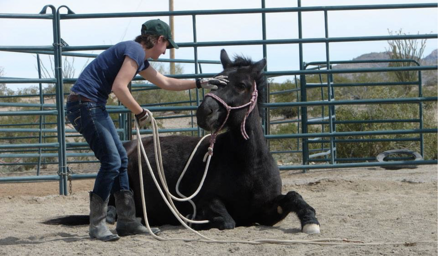 What’s the difference between a feel and a cue?